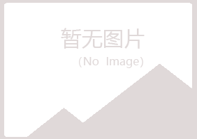 鹤岗兴山从寒化学有限公司